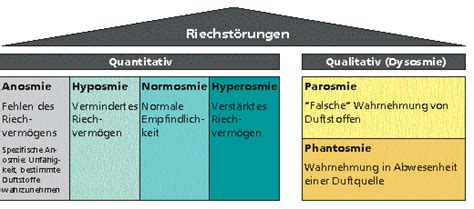 Riechstörungen – Ursachen und Risiken .